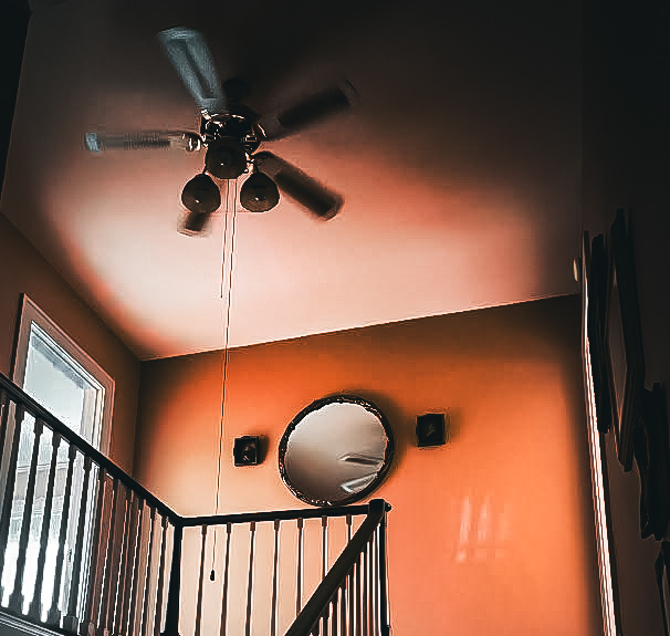 Fan at the stairs of the Palmer House